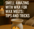 Wax for Wax Melts