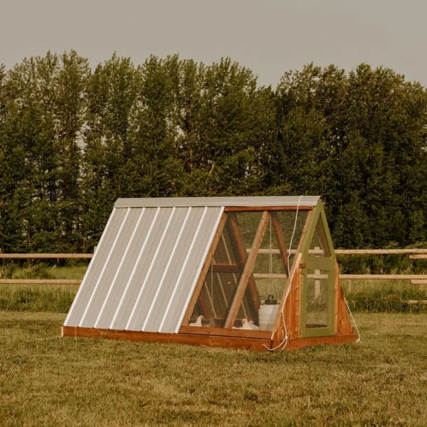 Alfalfa — Pasture Raised Done Simply