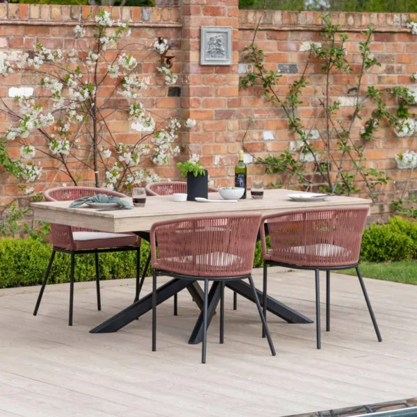 Amelia 4 Seater Whitewash Wood Black Legs Garden Dining Set - Hali Pink Chairs
