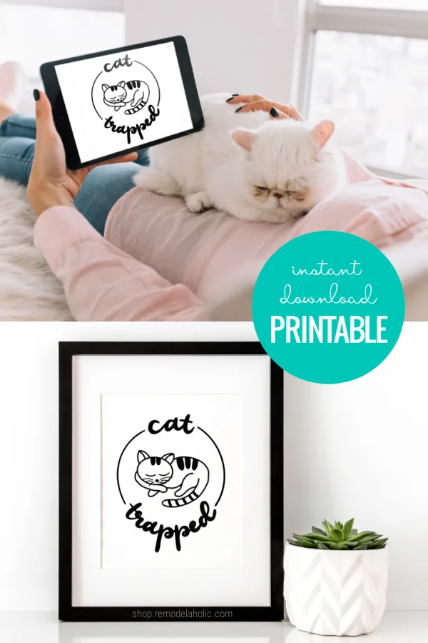 Cat Trapped Art Printable